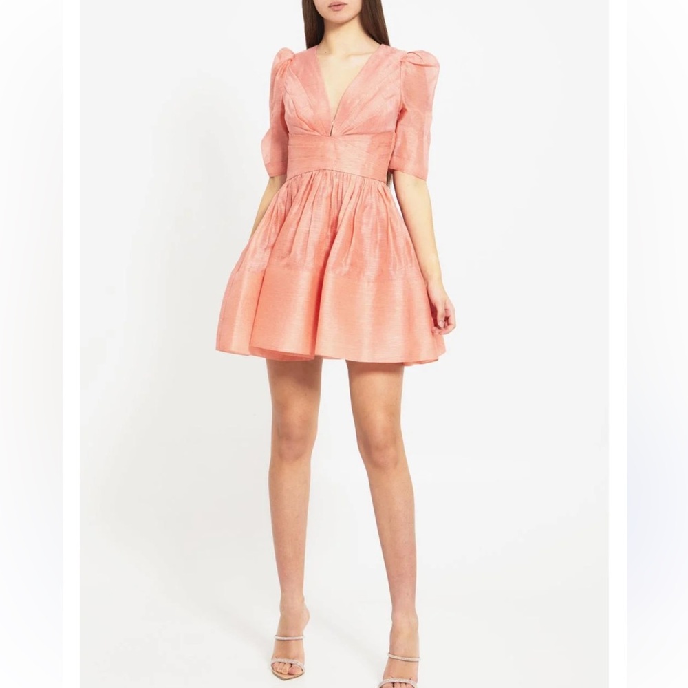Zimmermann Wonderland Mini Dress